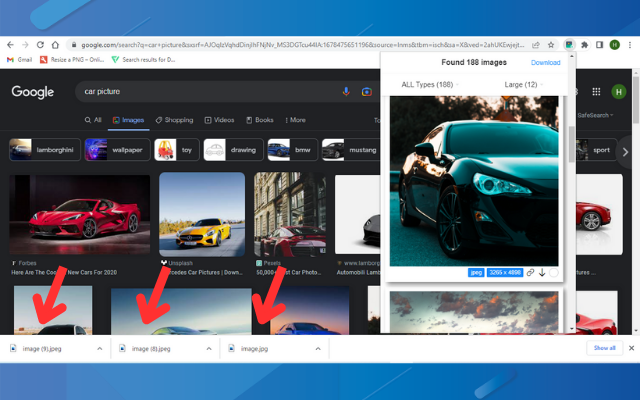 Full Image Downloader - Download all images截图4