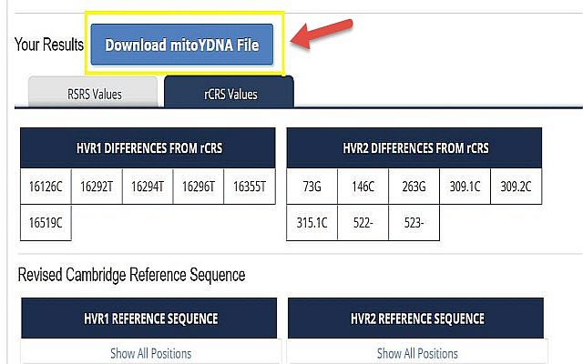 mitoYDNA File截图1
