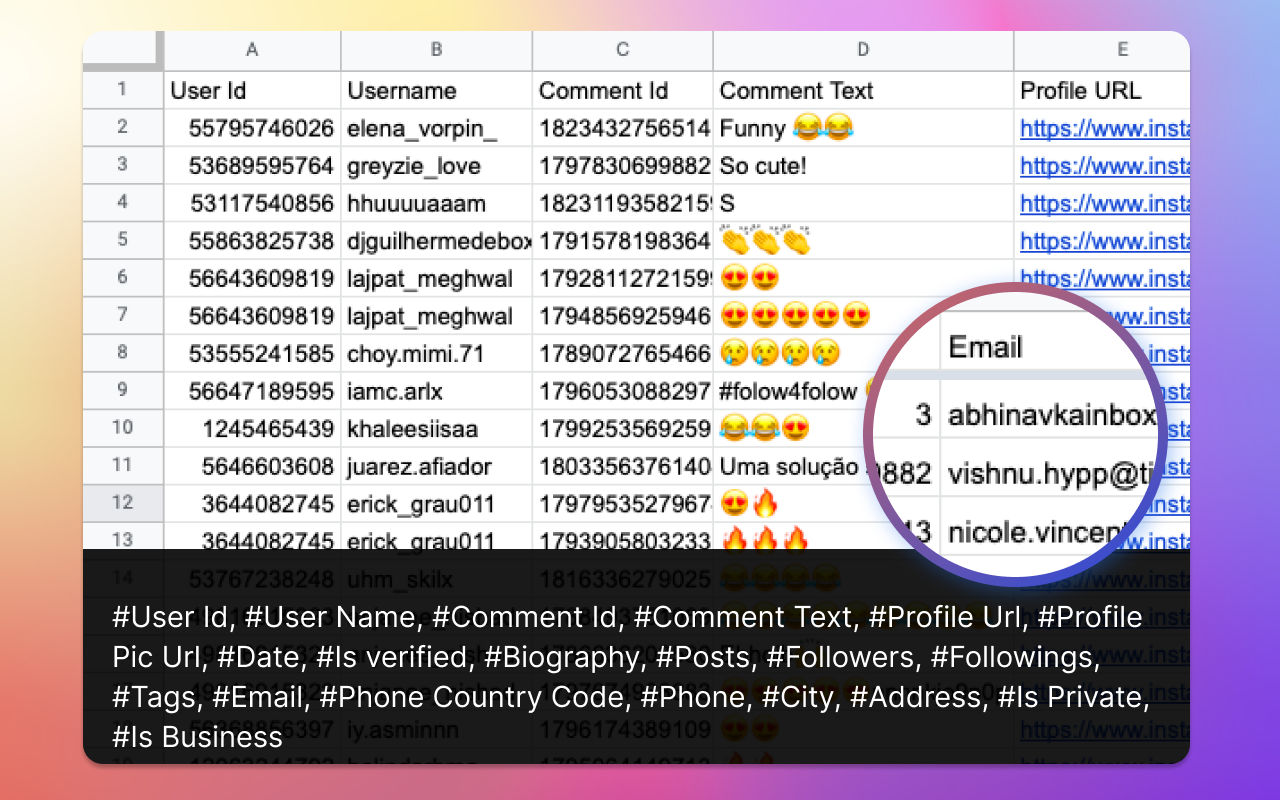 CommentsFox - Export IG Comments (Email)截图2