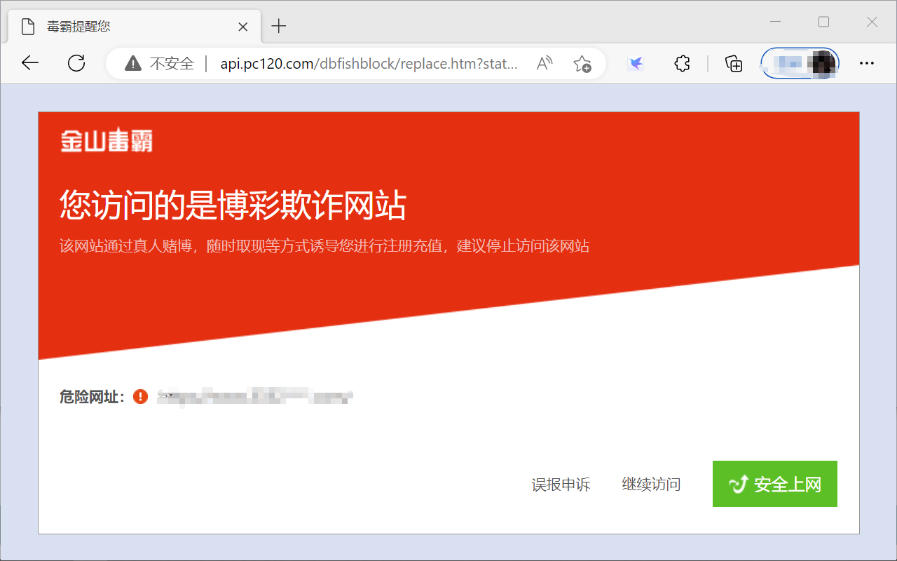 金山毒霸上网保护截图1