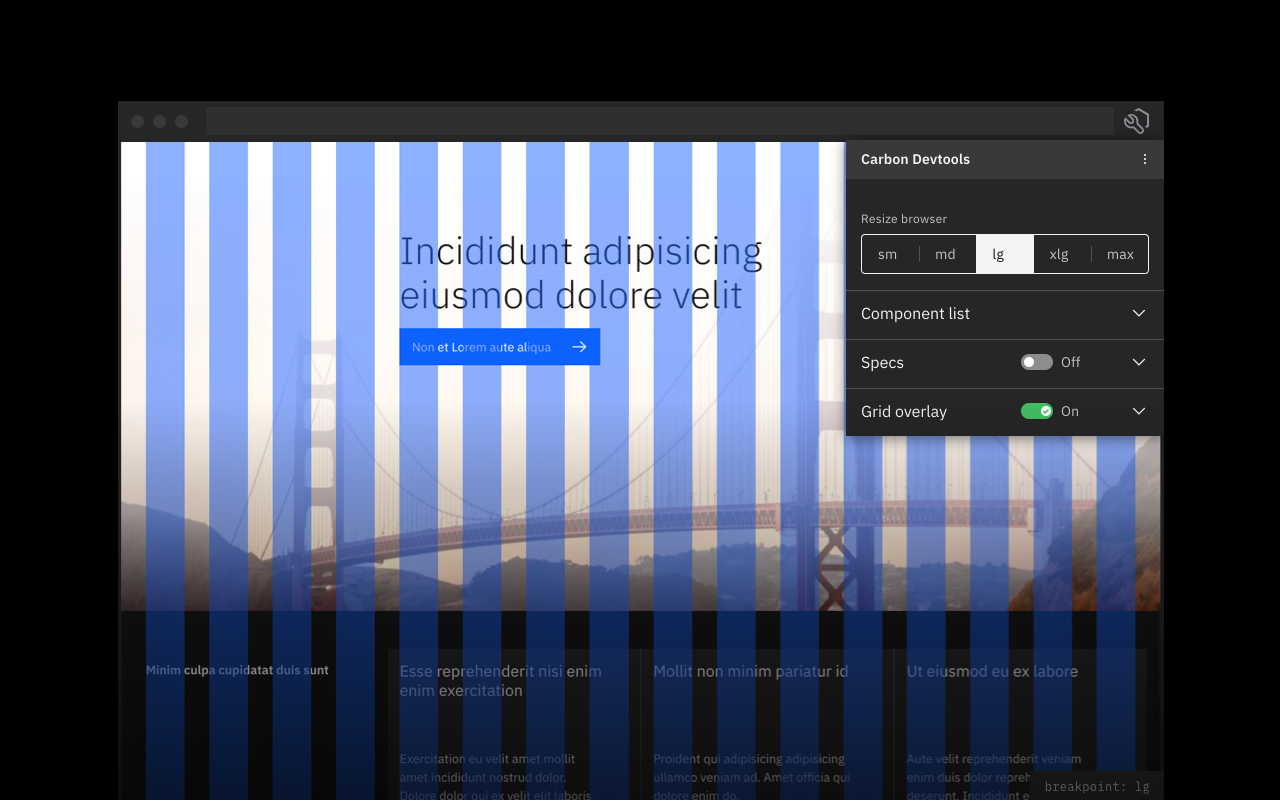 Carbon Devtools V10截图4