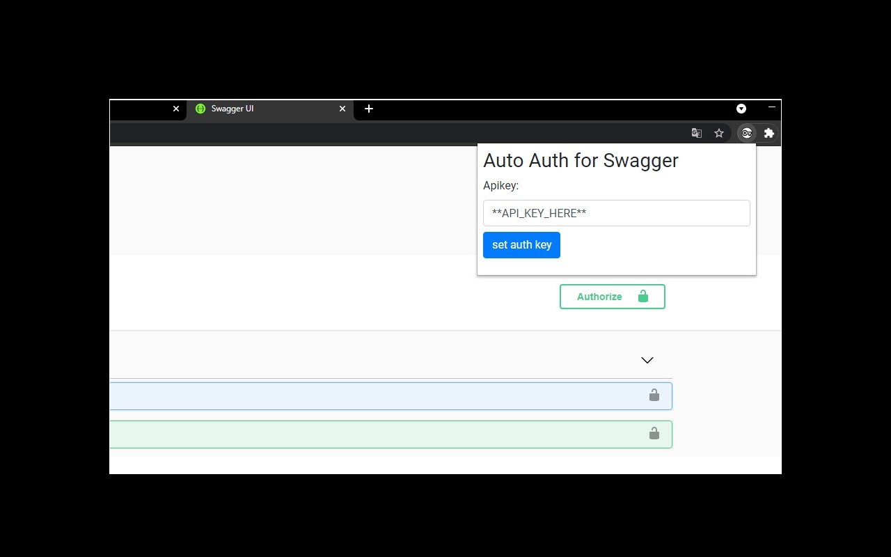 Swagger Auto Auth截图1