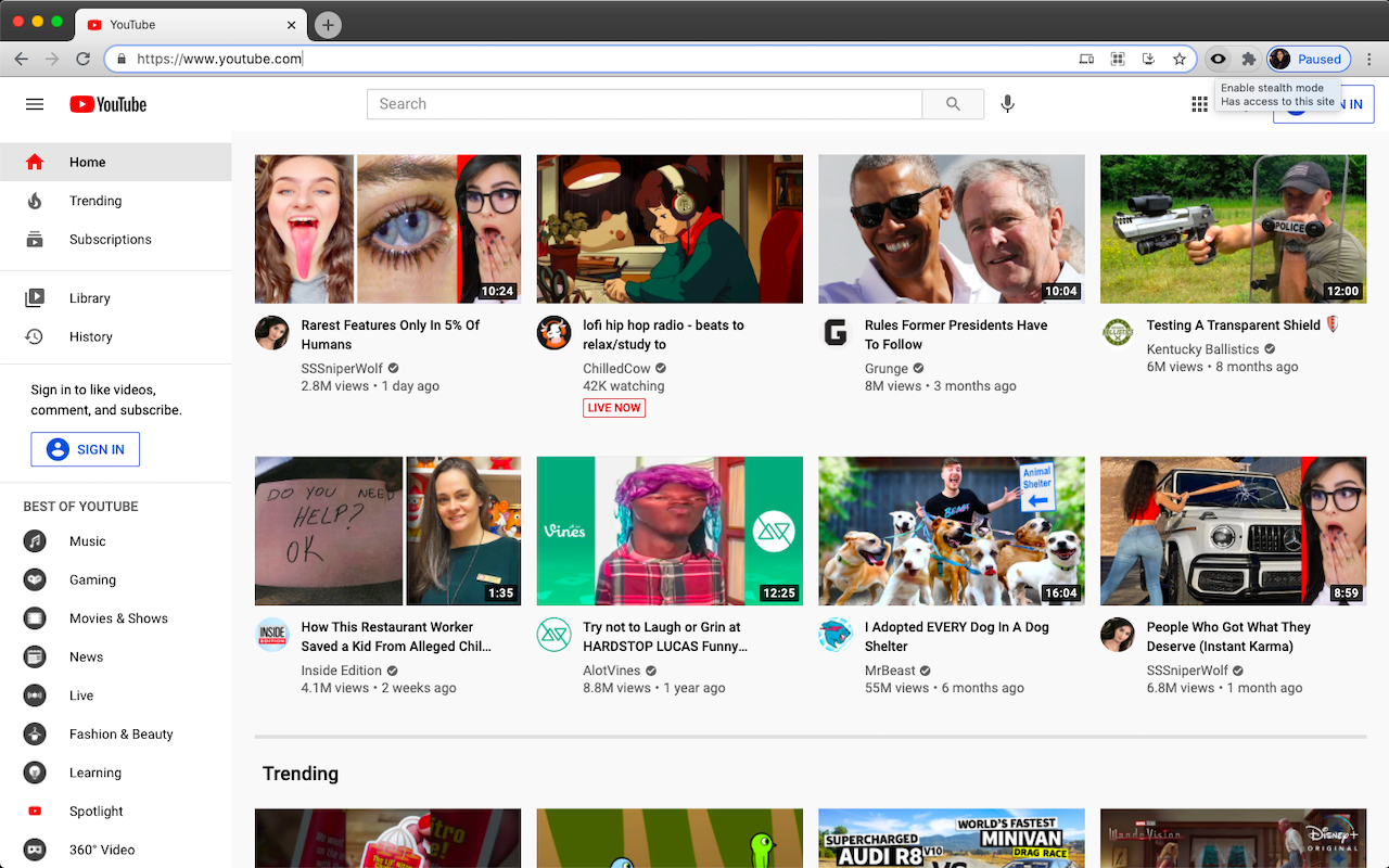 Browser Stealth Mode截图3