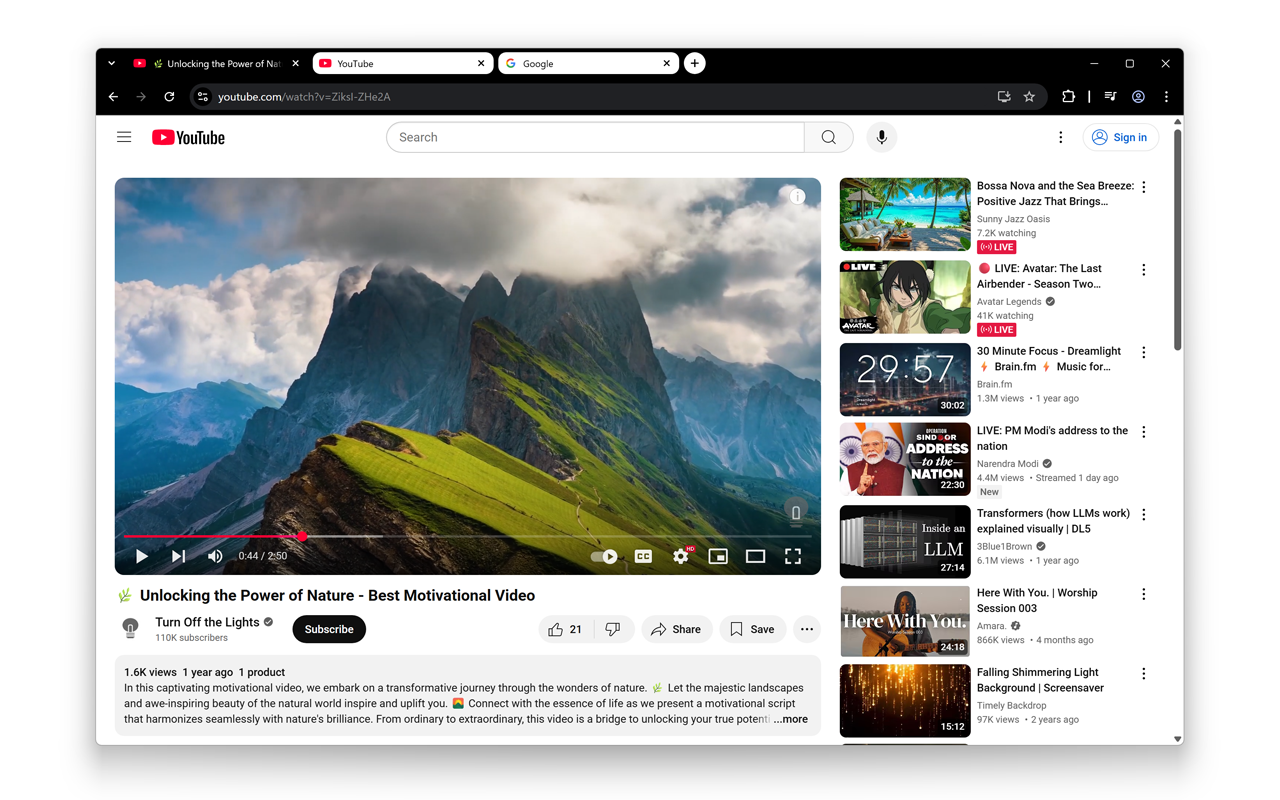 Google Chrome 的黑白主题截图1