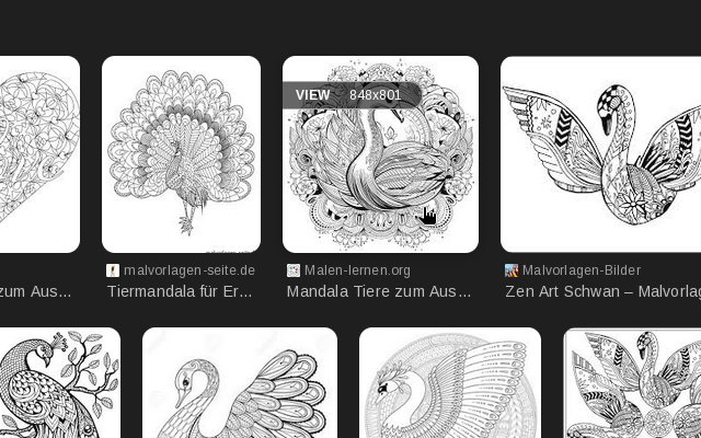 GooglePanicImages截图1