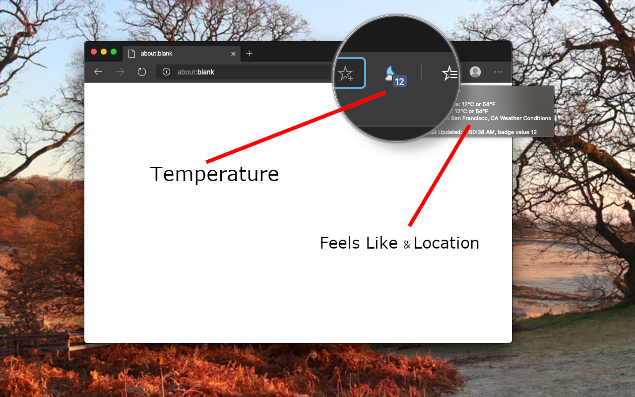 Weather Forecast截图1