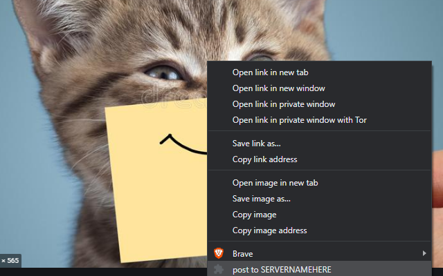 DisChrome截图1