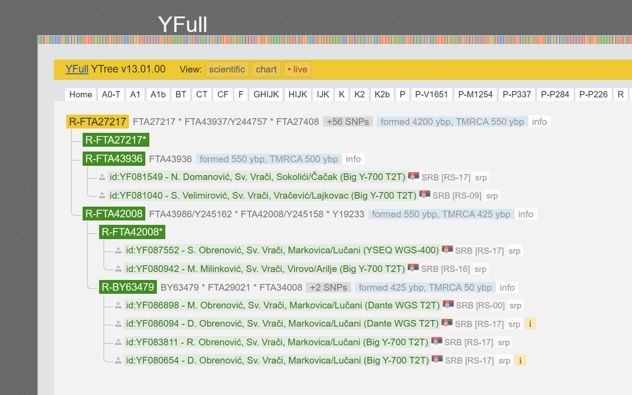YFull.com 助手截图2