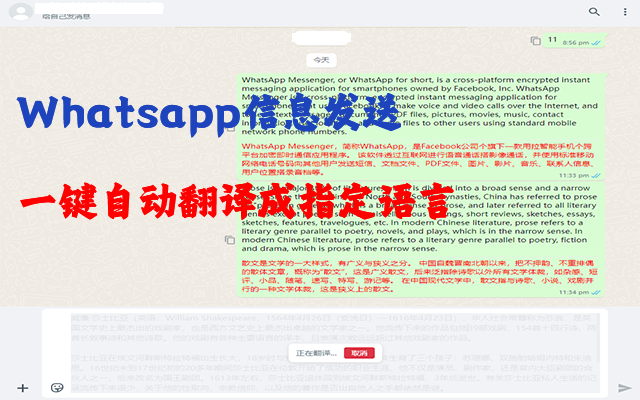 AHi WhatsApp翻译[AI版]截图1