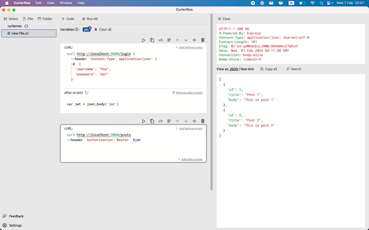 CurlerRoo - REST API client with cURL截图1