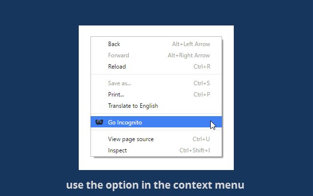 Go Incognito截图1