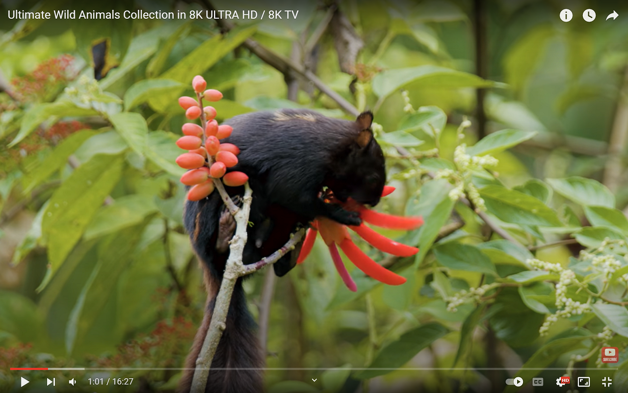 Video Aspect Ratio Zoom截图1