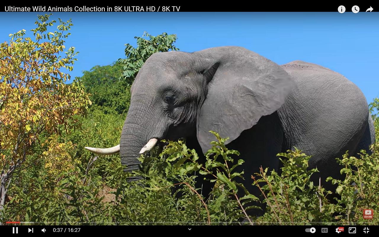 Video Aspect Ratio Zoom截图3