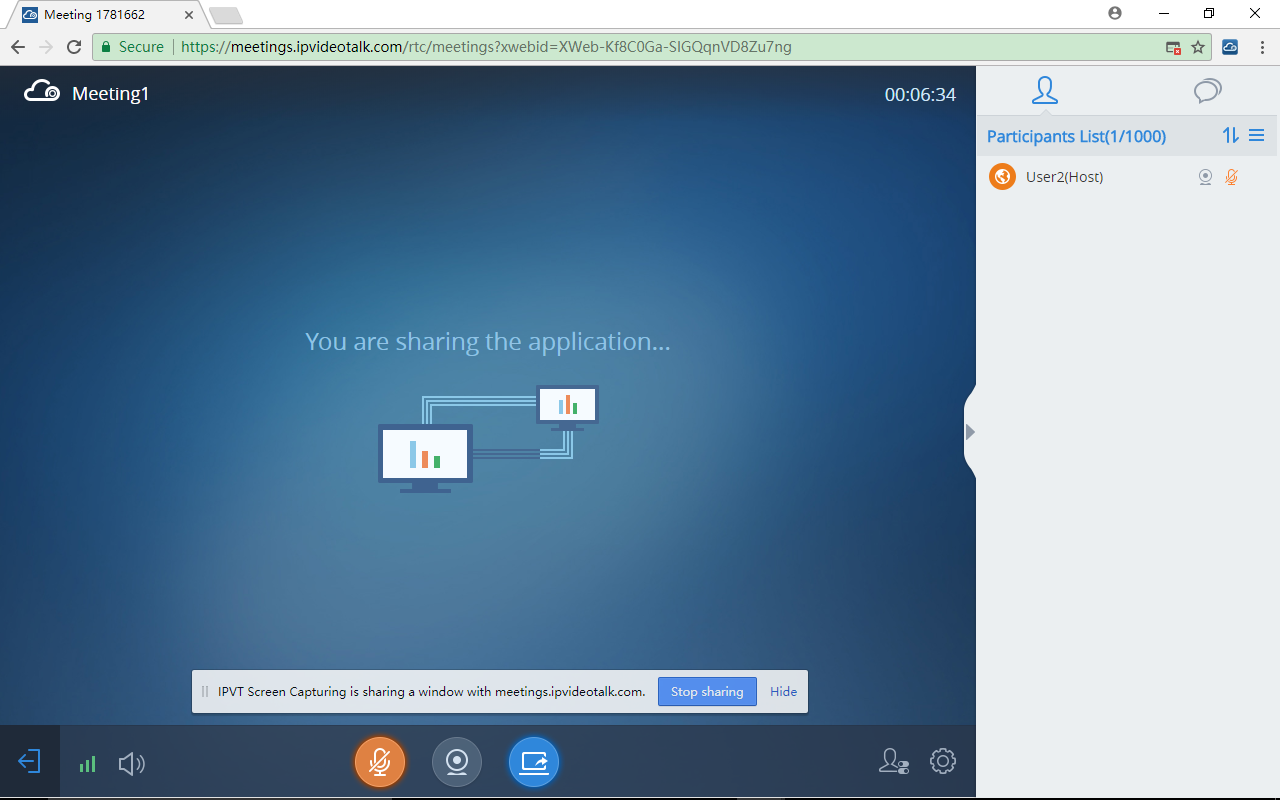IPVT Screen Capturing截图1