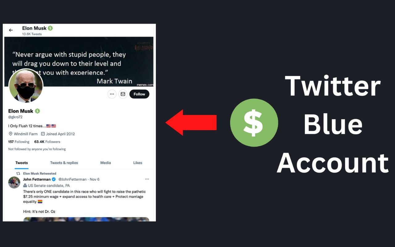 Tweep: Distinguish b/w Blue & Verified Users截图2