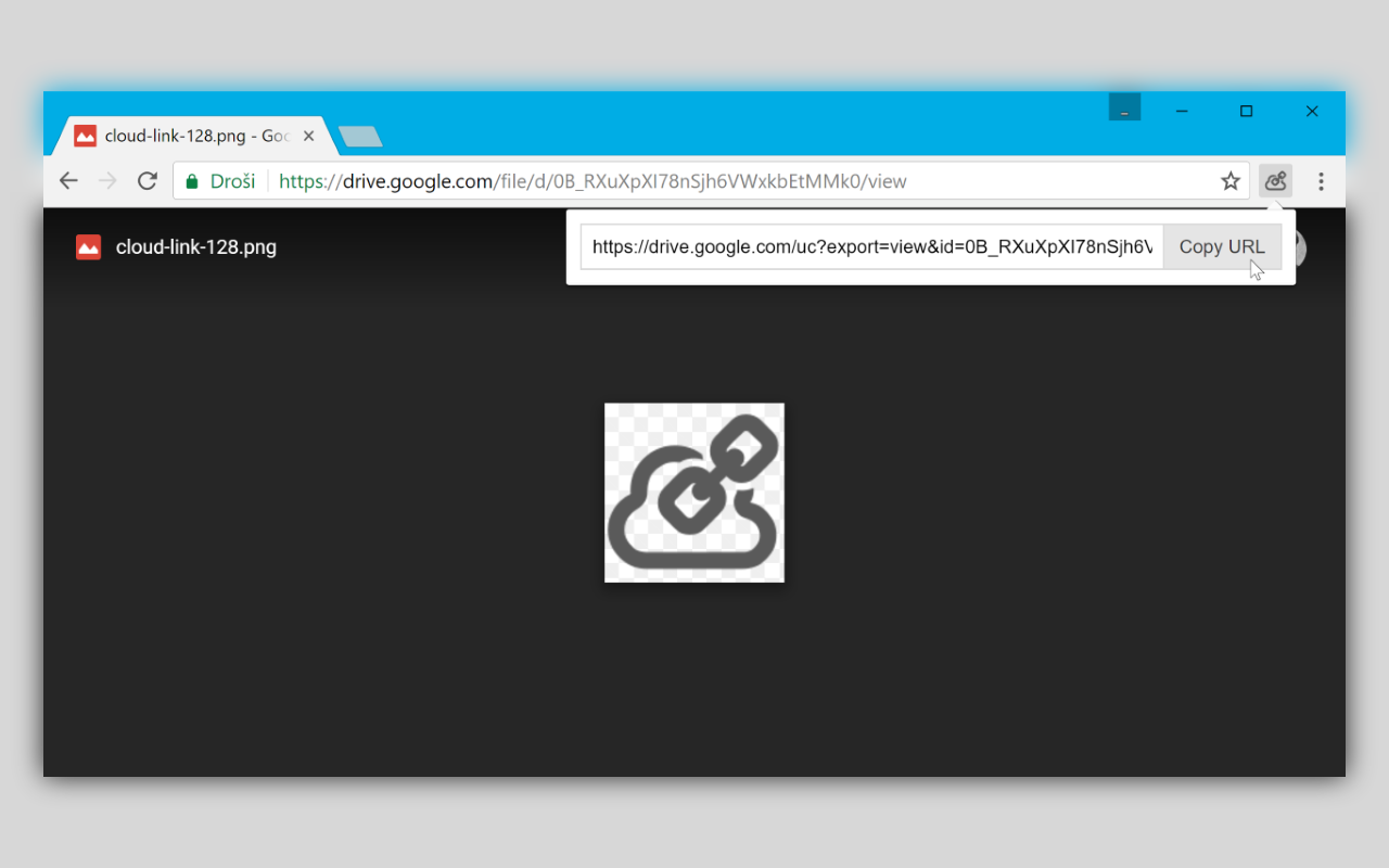Cloud File direct URL截图1