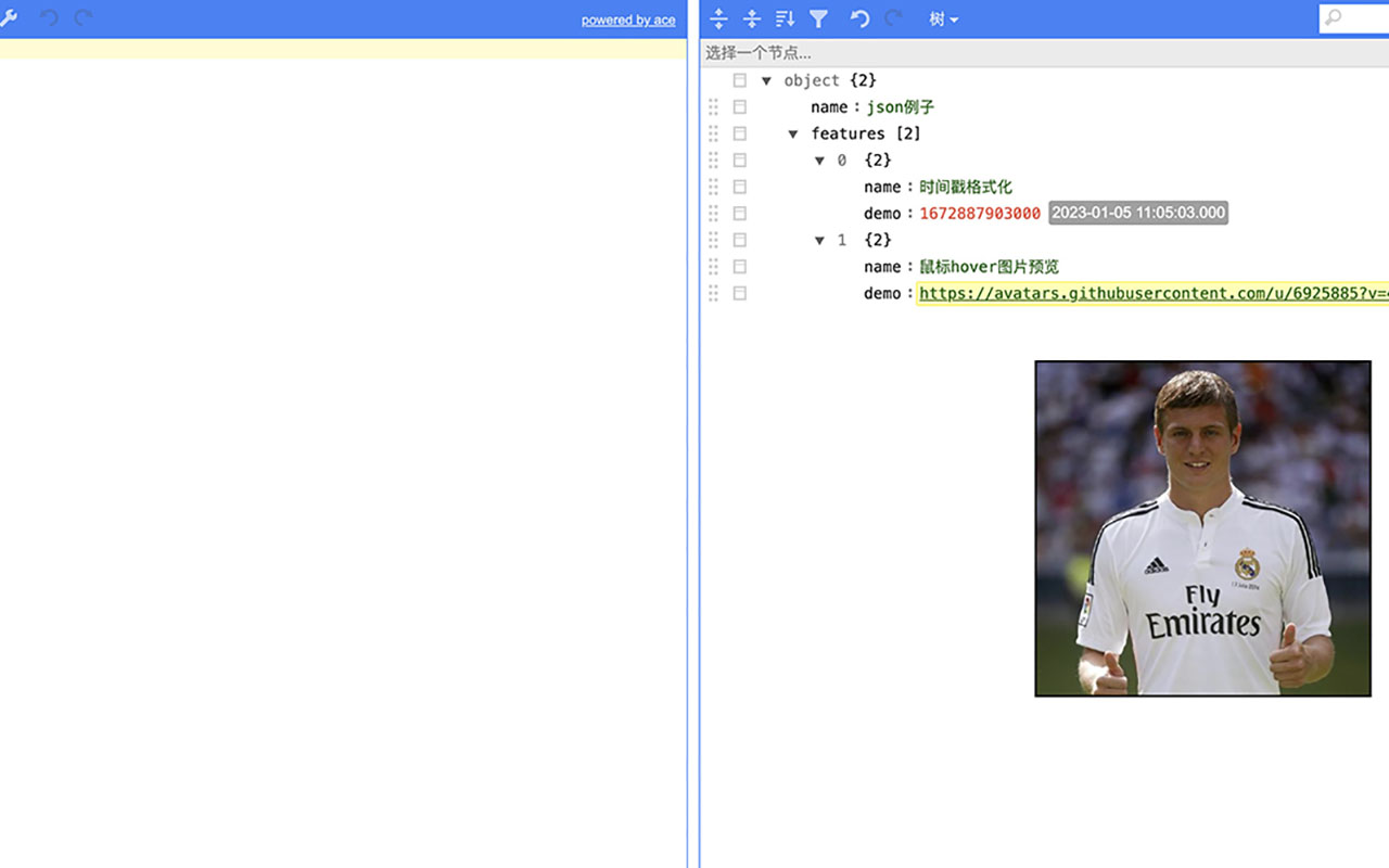 json-formatter截图1