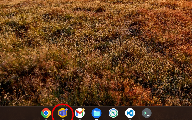 Badge Notifications for MS Teams PWA截图1
