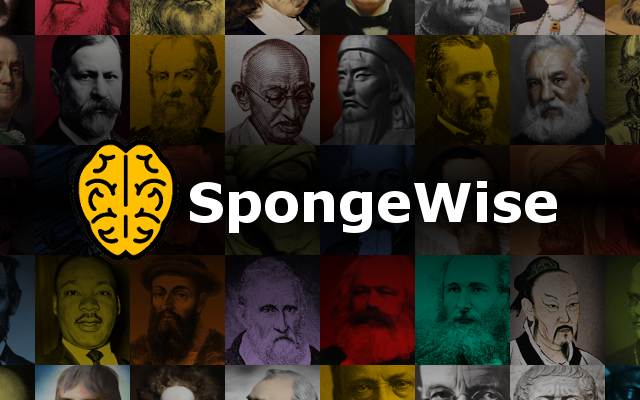 SpongeWise Flashcard Clipper截图3