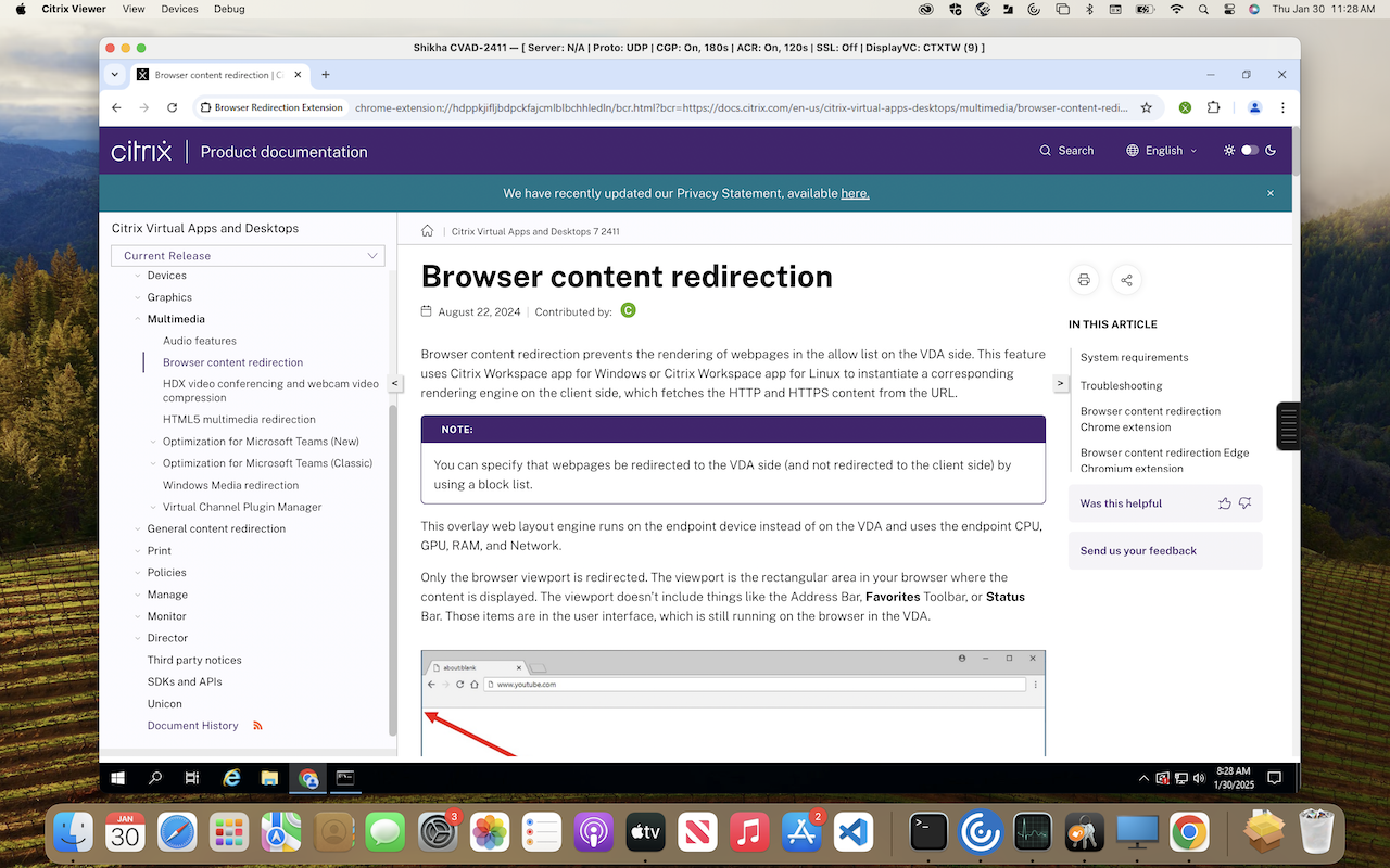 Browser Redirection Extension (Beta)截图2