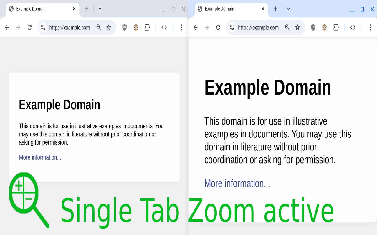 Single Tab Zoom截图2