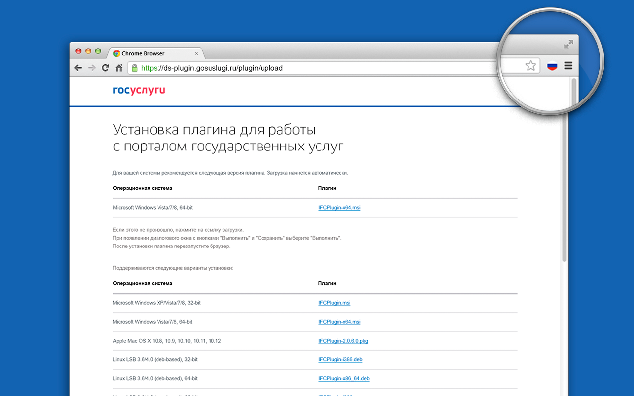 Расширение для плагина Госуслуг截图1