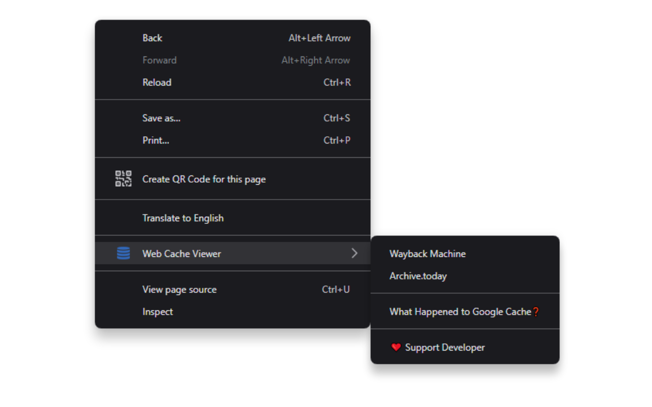 Web Cache Viewer截图4