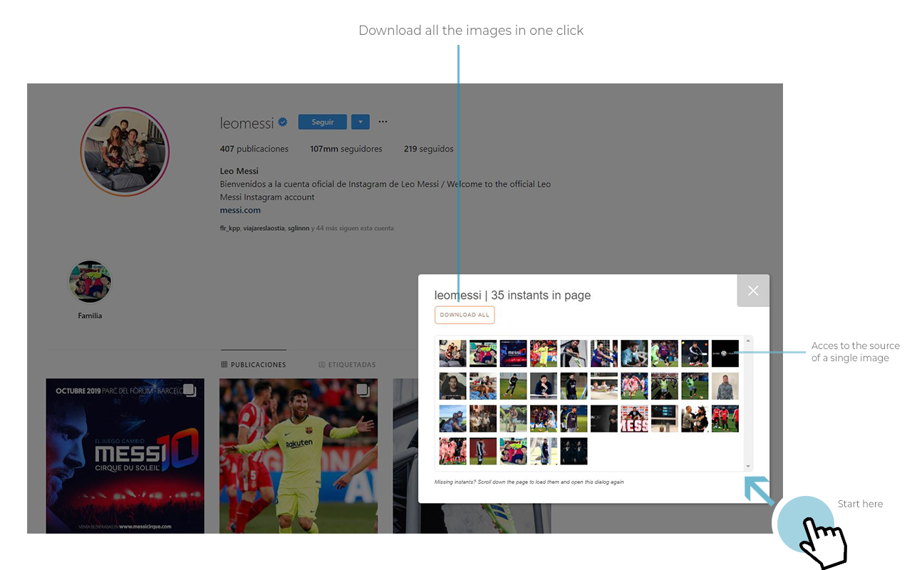 Instant Downloader截图1