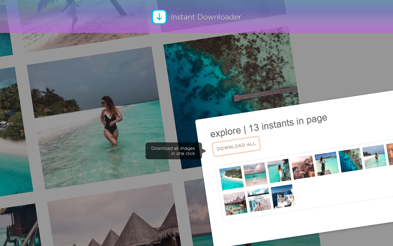 Instant Downloader截图2