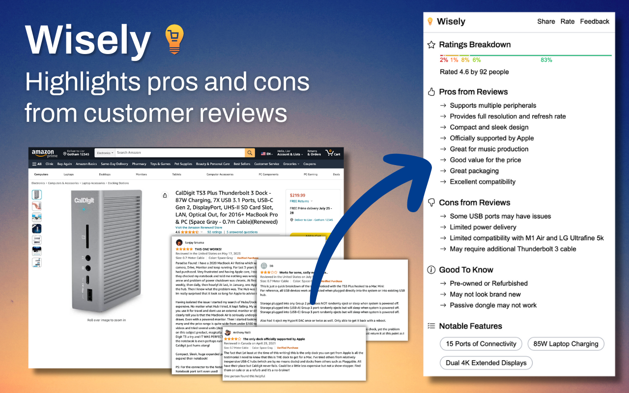 Wisely: AI Summary for Amazon Reviews截图1