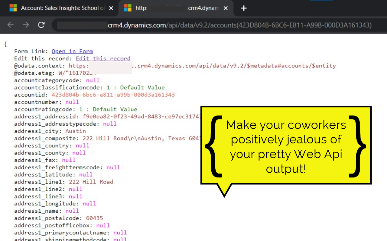 PrettifyMyWebApi for Microsoft Dataverse截图1