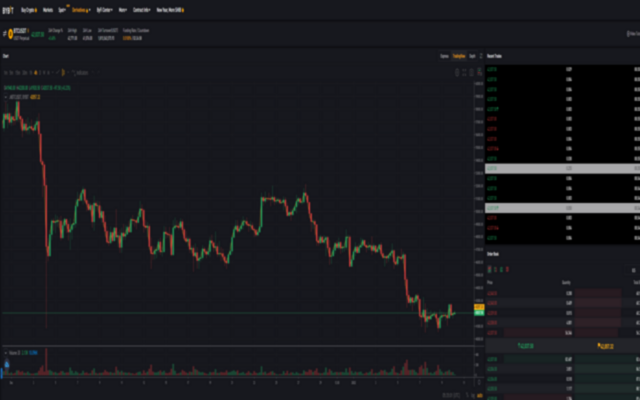 Bybit Level II Order Detector截图2