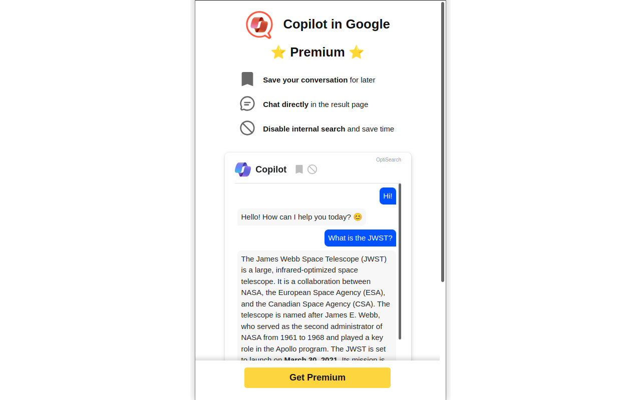 Google 中的 Microsoft Copilot截图1