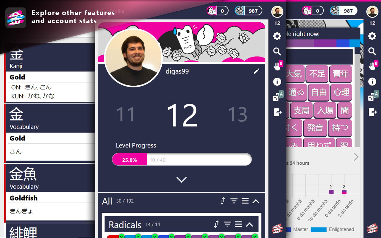 WaniKani Kanji Highlighter截图2