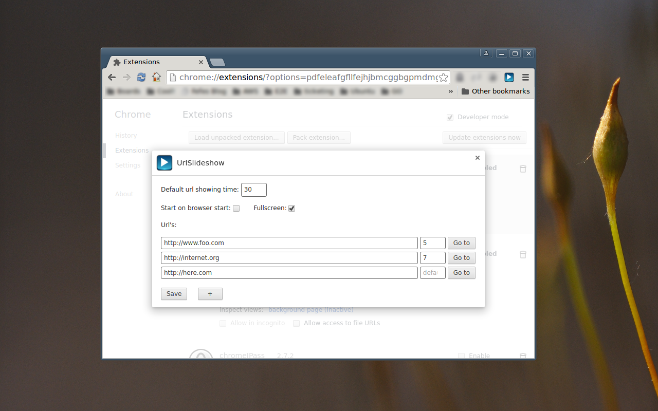 Url Slideshow截图1