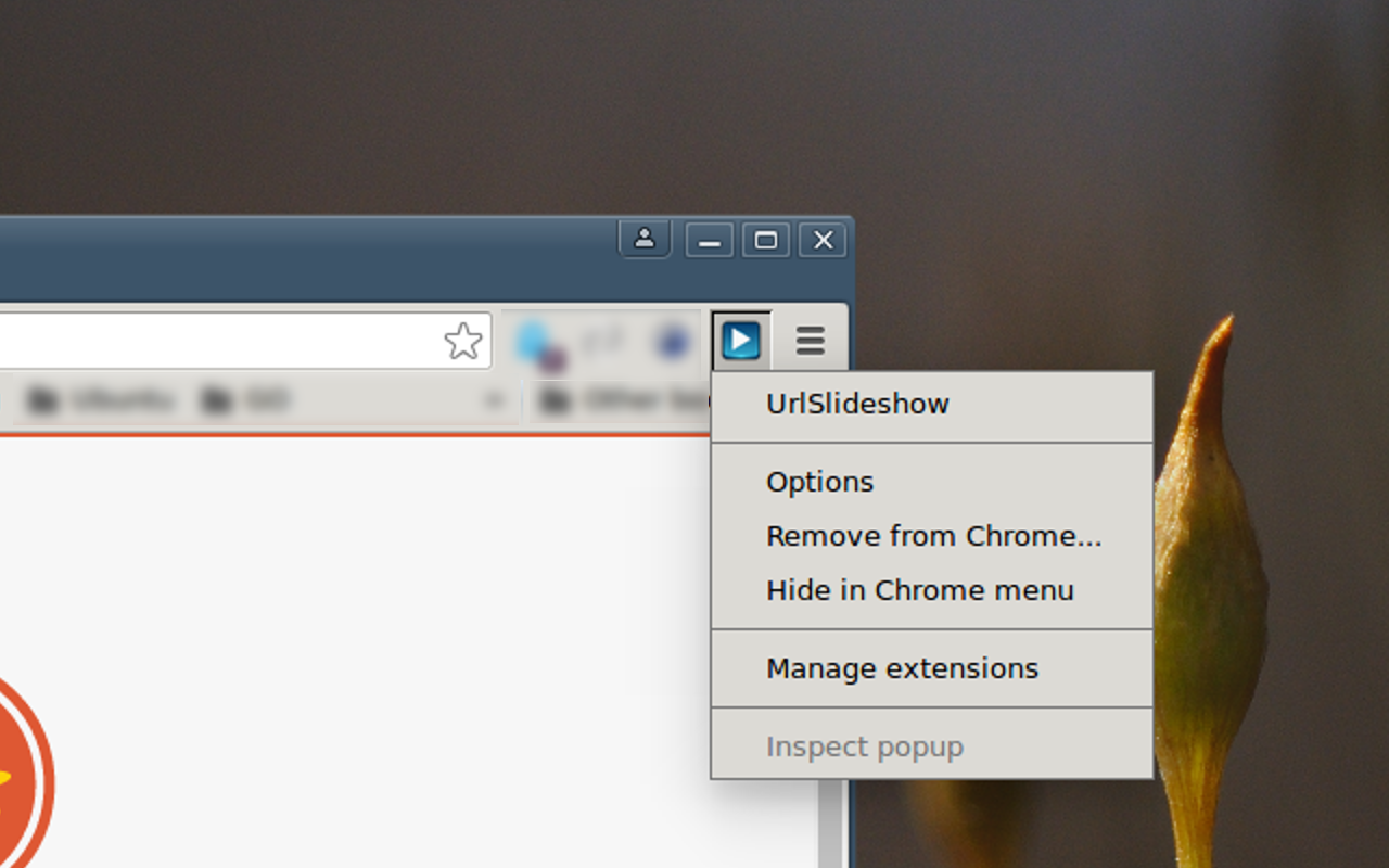 Url Slideshow截图2