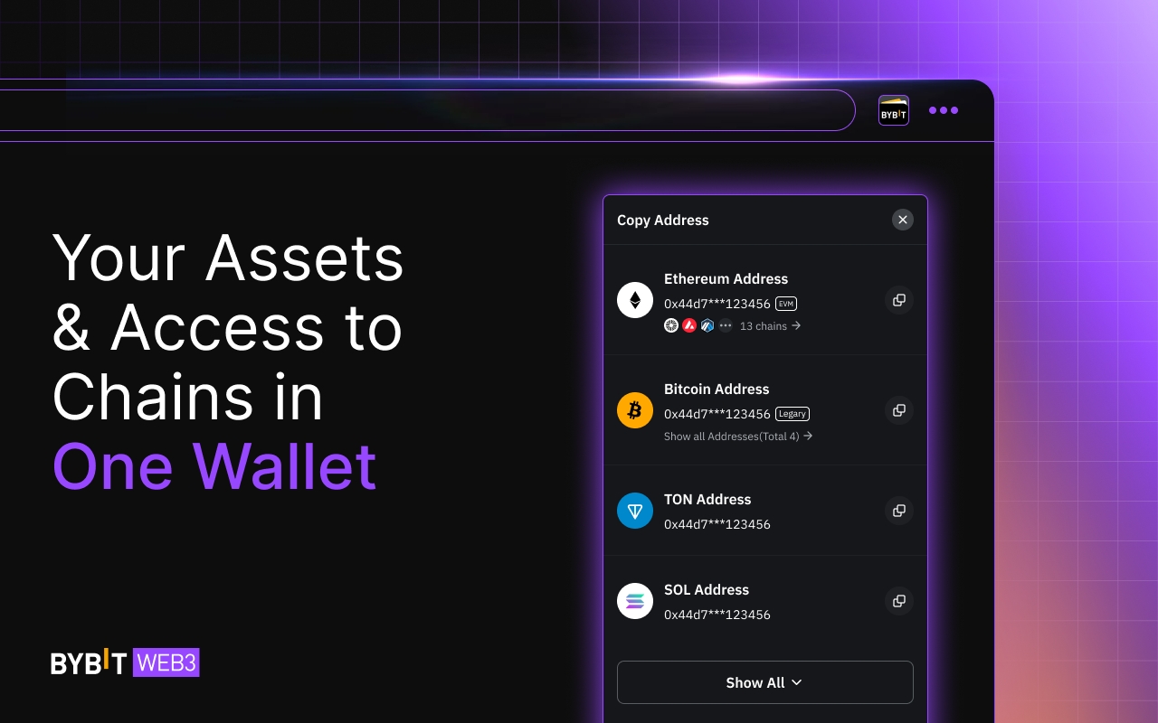 Bybit Wallet截图3