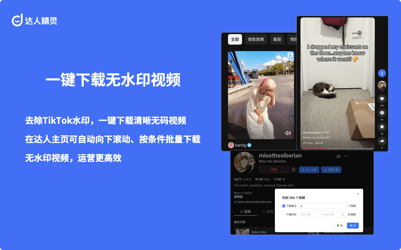 达人精灵 - TikTok视频下载、AI脚本与数据分析截图5