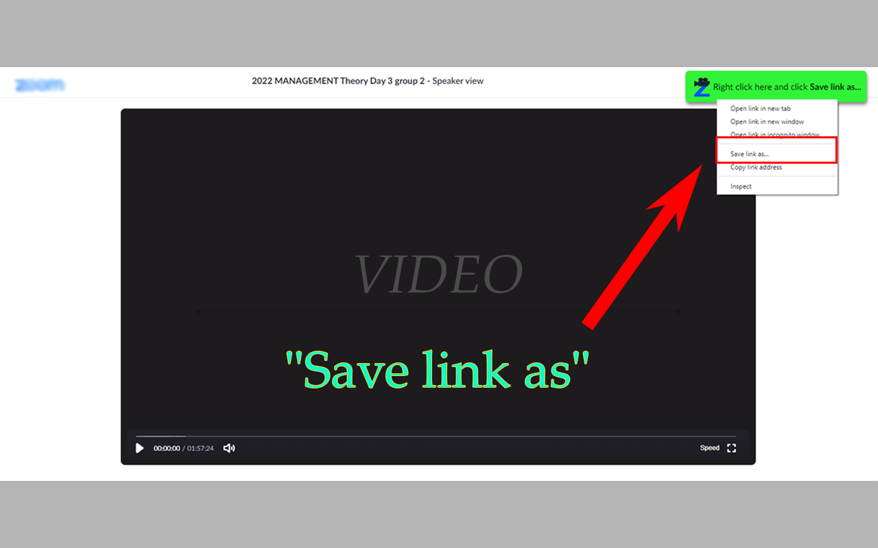Z Recorded Video Downloader截图1
