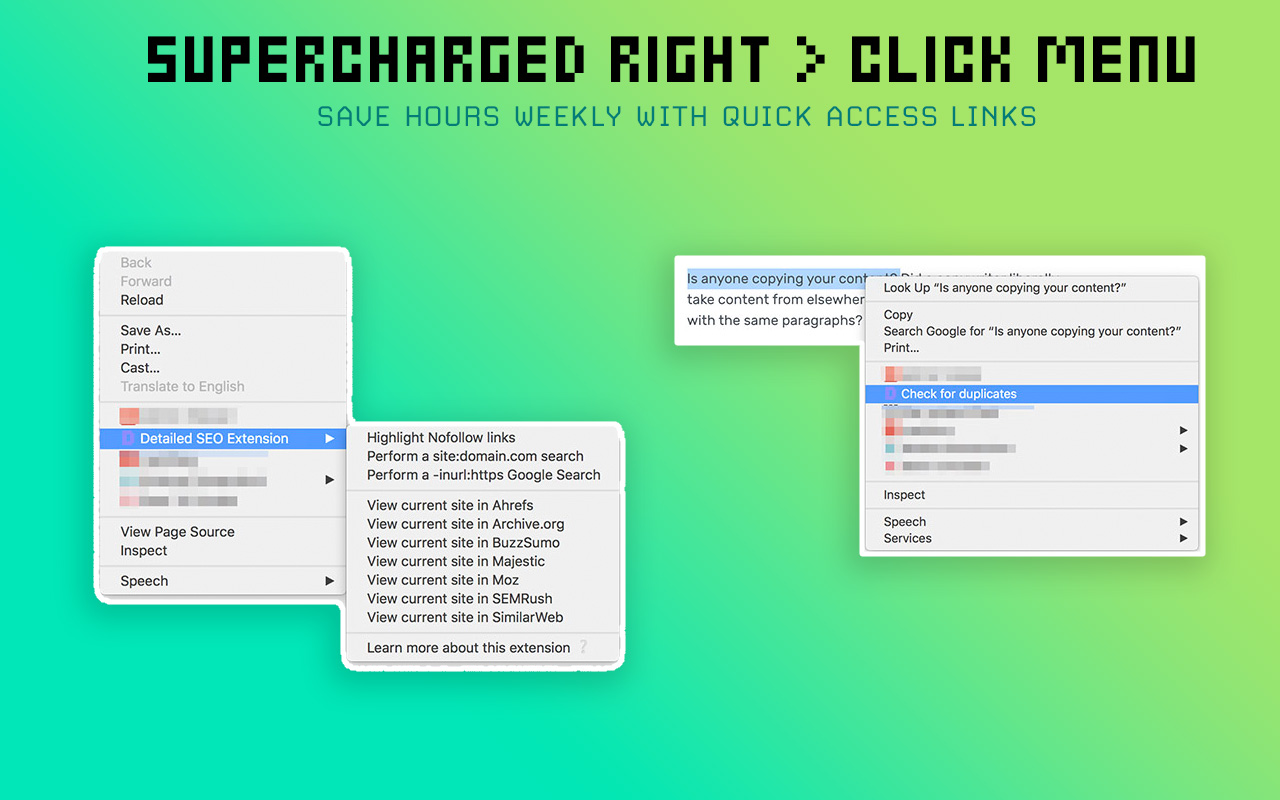 Detailed SEO Extension截图2