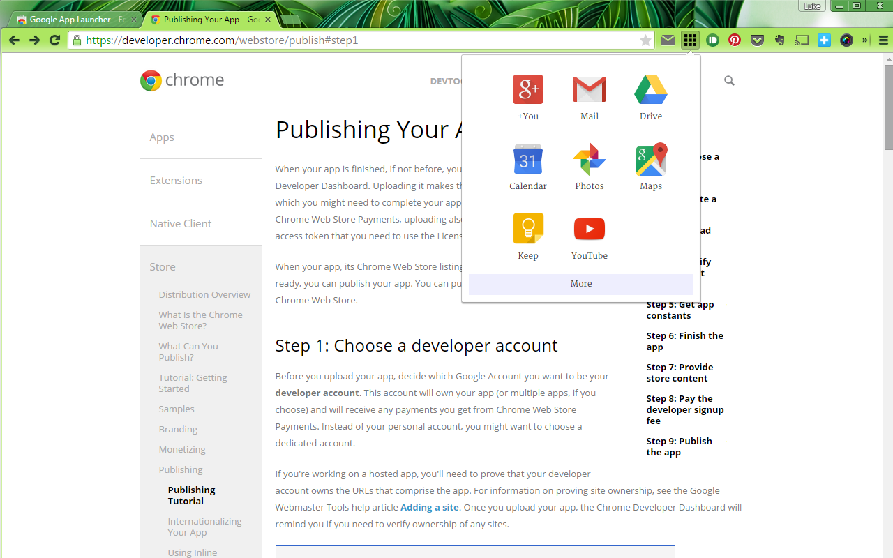 Google Services Launcher截图2