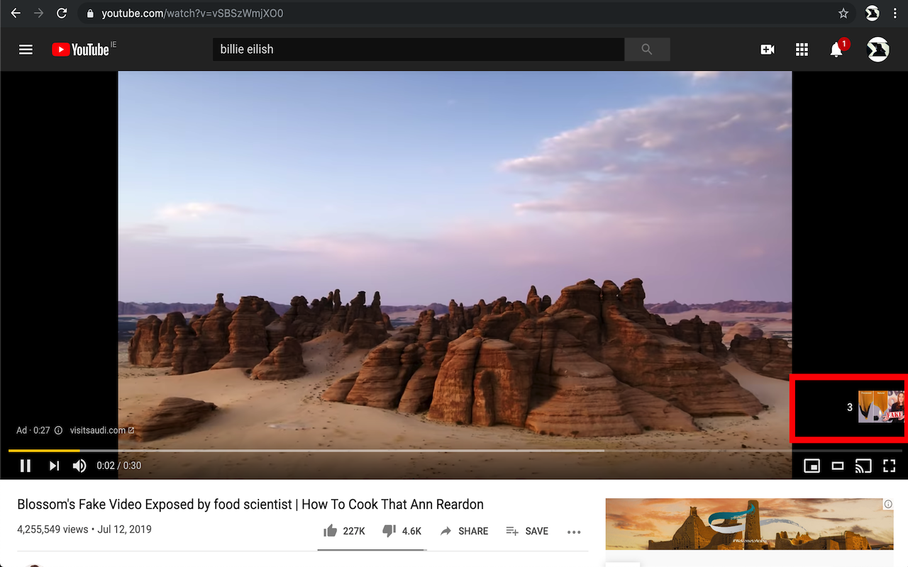 YouTube Ad Skipper截图1