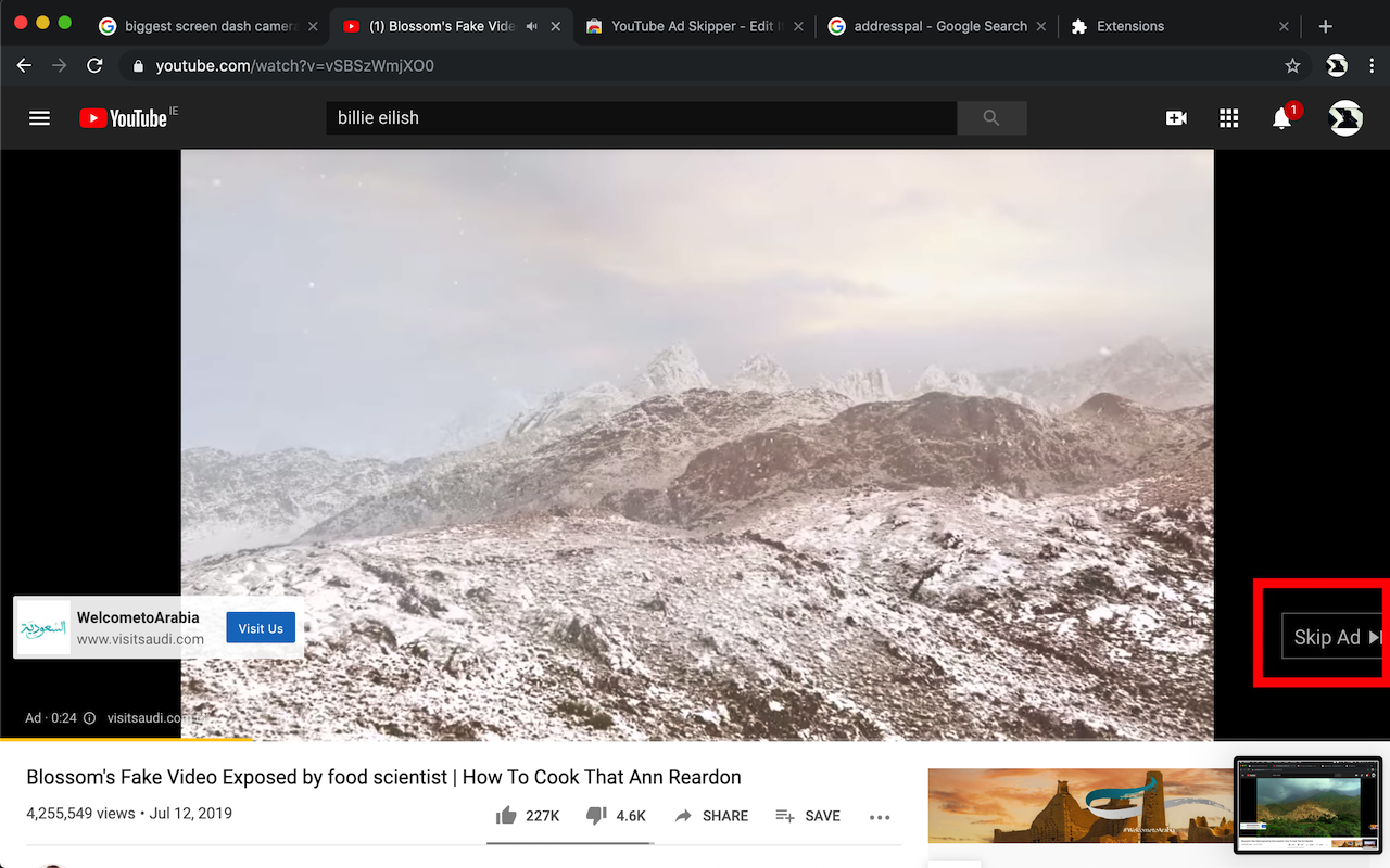 YouTube Ad Skipper截图2