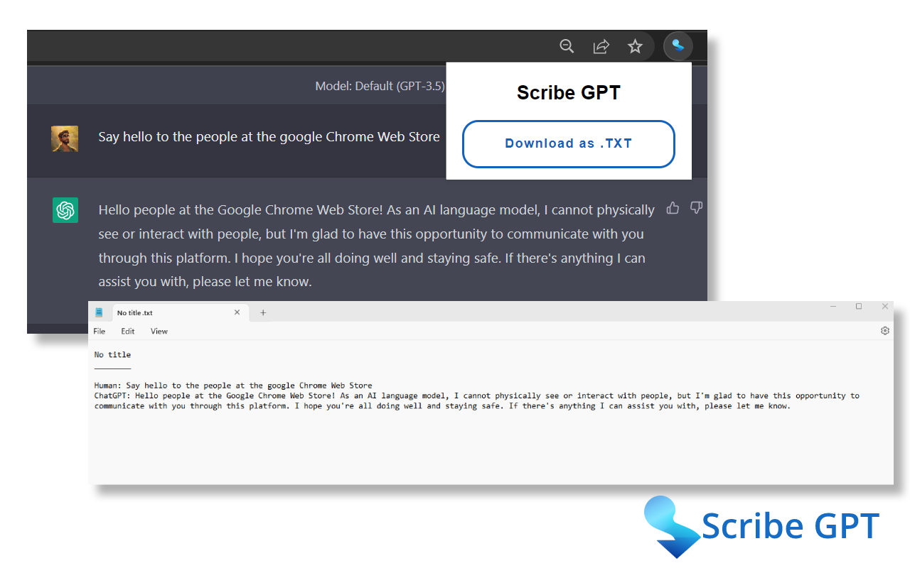 Scribe GPT截图1