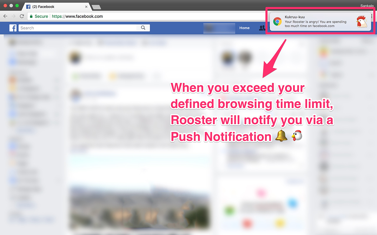 Rooster for Chrome™截图1