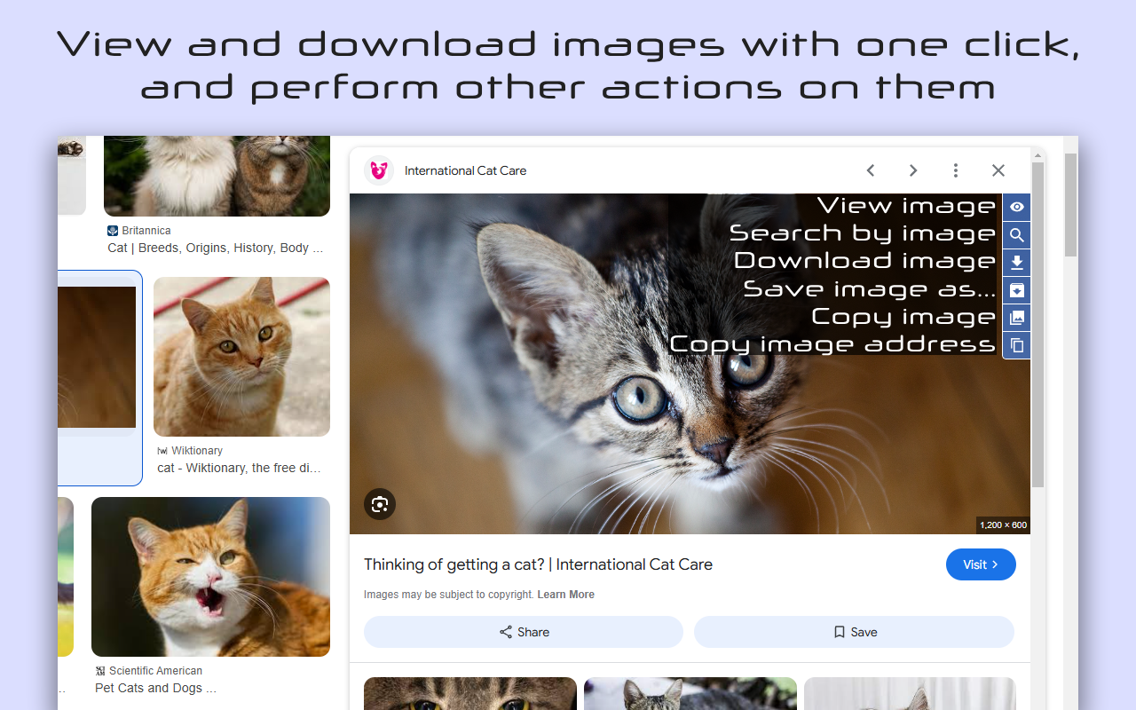 Search Enhancer for Google™截图1
