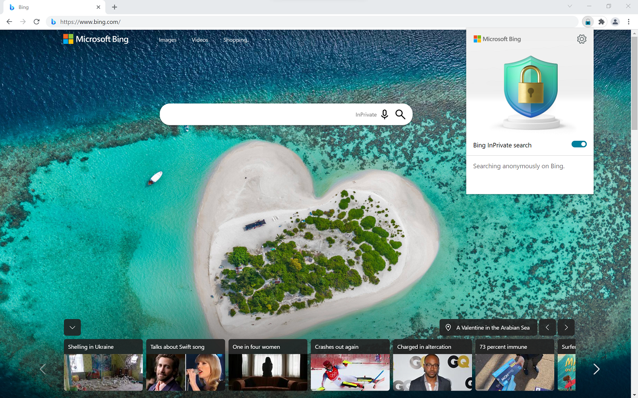Microsoft 必应 InPrivate截图2