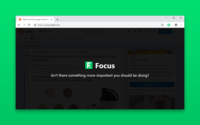 Focus截图1