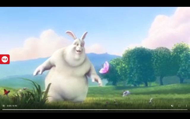 Video Loop Extension截图1