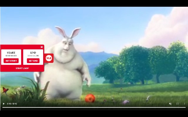 Video Loop Extension截图2